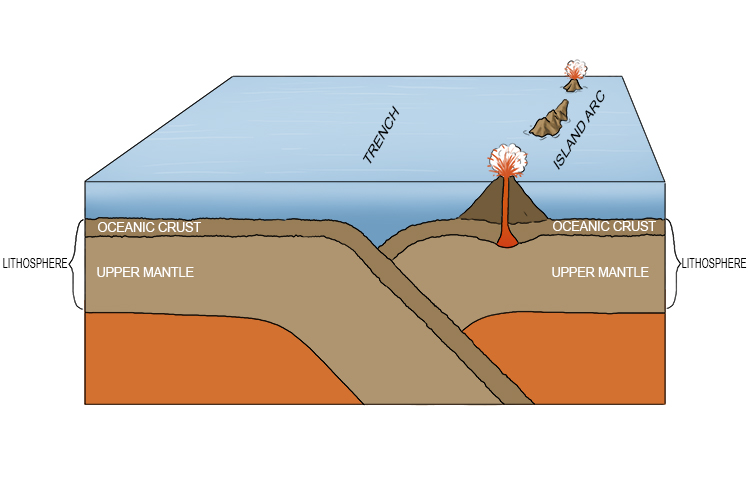 When two thin oceanic crusts converge (called destructive plate margin) the denser crust will subduct.
